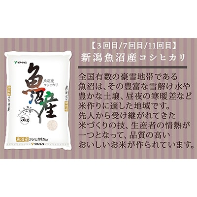 【毎月定期便】新潟県産米厳選食べ比べ　佐渡・新潟・魚沼・新之助 5kg全12回