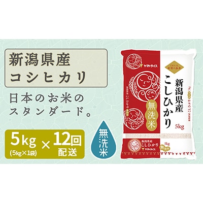 【毎月定期便】無洗米新潟県産コシヒカリ5kg　ヤマトライス全12回
