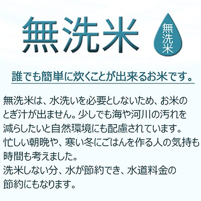 【毎月定期便】無洗米新潟県産コシヒカリ5kg　ヤマトライス全12回