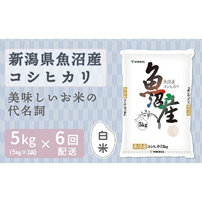 【毎月定期便】新潟県魚沼産コシヒカリ5kg　ヤマトライス 全6回