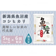 [毎月定期便]無洗米 新潟県魚沼産コシヒカリ5kg ヤマトライス 全6回