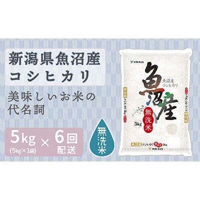 【毎月定期便】無洗米 新潟県魚沼産コシヒカリ5kg　ヤマトライス 全6回