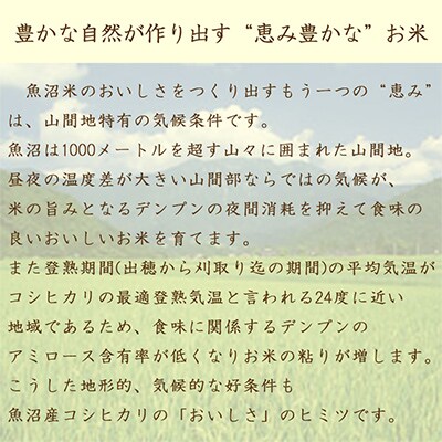 【毎月定期便】無洗米 新潟県魚沼産コシヒカリ5kg　ヤマトライス 全6回