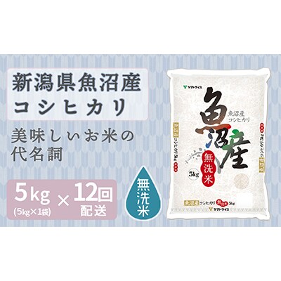 【毎月定期便】無洗米 新潟県魚沼産コシヒカリ5kg　ヤマトライス 全12回