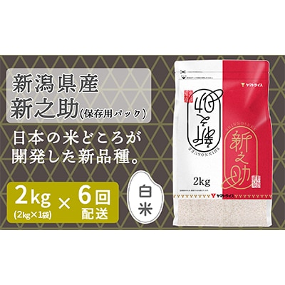 【毎月定期便】新潟県産新之助2kg　ヤマトライス全6回