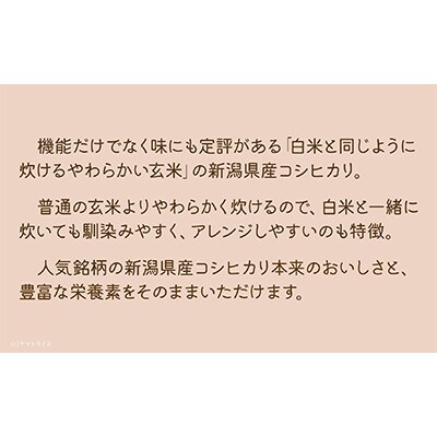 【毎月定期便】《栄養機能食品》白米と同じように炊けるやわらかい玄米 コシヒカリ 900g×4袋全6回