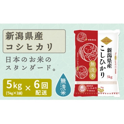 【毎月定期便】無洗米新潟県産コシヒカリ5kg全6回