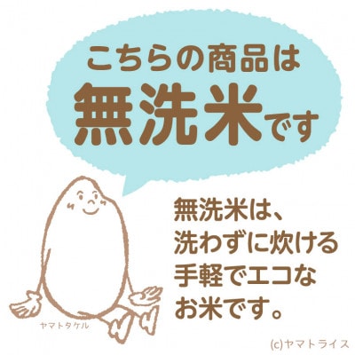 【毎月定期便】無洗米新潟県産コシヒカリ5kg全6回