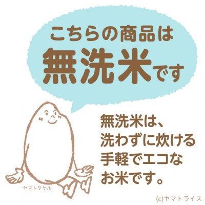 【毎月定期便】無洗米 新潟県産 コシヒカリ 10kg全6回