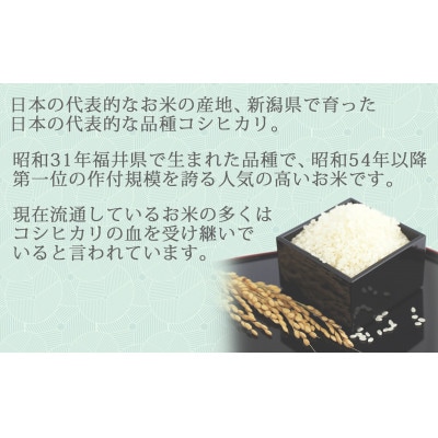 【毎月定期便】無洗米 新潟県産 コシヒカリ 10kg全12回