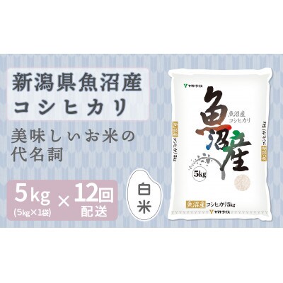 【毎月定期便】新潟県 魚沼産 コシヒカリ 5kg全12回