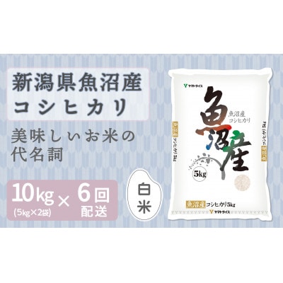 【毎月定期便】新潟県 魚沼産 コシヒカリ 10kg(5kg×2袋)全6回