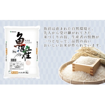 【毎月定期便】新潟県 魚沼産 コシヒカリ 10kg(5kg×2袋)全6回