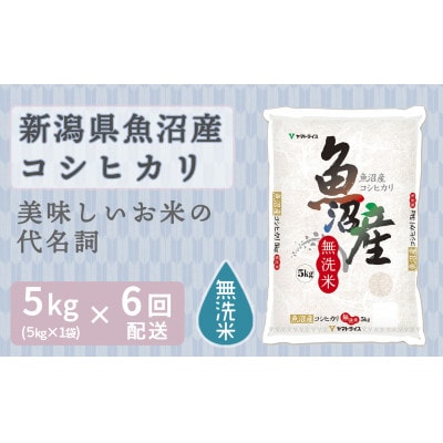 【毎月定期便】無洗米 新潟県 魚沼産 コシヒカリ 5kg全6回