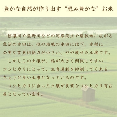 【毎月定期便】無洗米 新潟県 魚沼産 コシヒカリ 5kg全6回