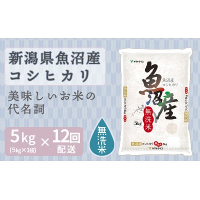 【毎月定期便】無洗米 新潟県 魚沼産 コシヒカリ 5kg全12回