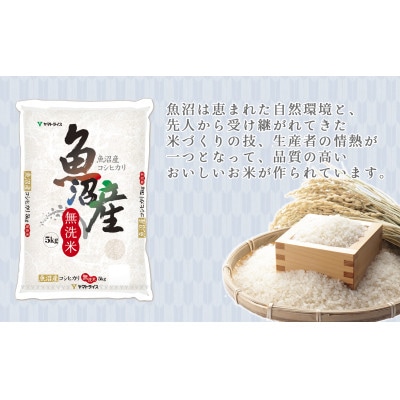【毎月定期便】無洗米 新潟県 魚沼産 コシヒカリ 5kg全12回