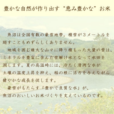 【毎月定期便】無洗米 新潟県 魚沼産 コシヒカリ 5kg全12回