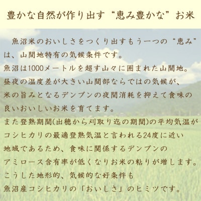 【毎月定期便】無洗米 新潟県 魚沼産 コシヒカリ 5kg全12回