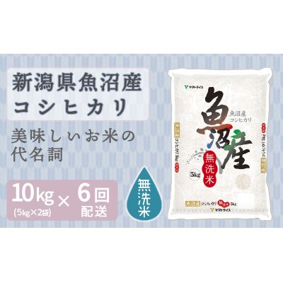 【毎月定期便】無洗米 新潟県 魚沼産 コシヒカリ 10kg(5kg×2袋)全6回