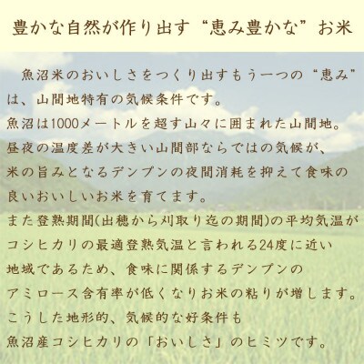 【毎月定期便】無洗米 新潟県 魚沼産 コシヒカリ 10kg(5kg×2袋)全6回