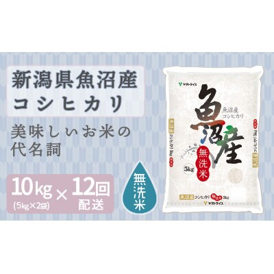 【毎月定期便】無洗米 新潟県 魚沼産 コシヒカリ 10kg(5kg×2袋)全12回