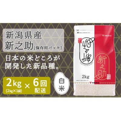 【毎月定期便】新潟県産 新之助 2kg 窒素充填 スタンドパック全6回