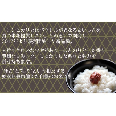 【毎月定期便】新潟県産 新之助 2kg 窒素充填 スタンドパック全6回