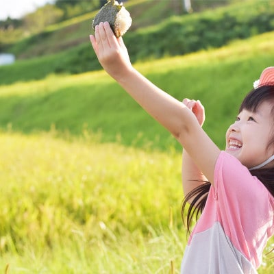 【毎月定期便】新潟県産 新之助 5kg全6回