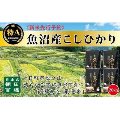 《令和7年産》《食味鑑定士厳選》日本棚田百選のお米 ・魚沼産こしひかり　　20kg