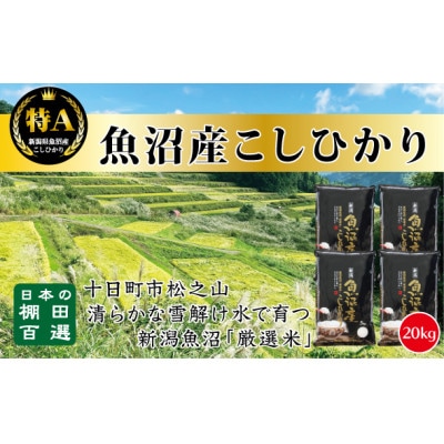 《令和7年産》《食味鑑定士厳選》日本棚田百選のお米 ・魚沼産こしひかり　　20kg