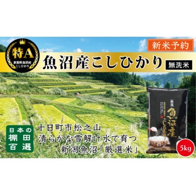 《令和7年産》【無洗米】《食味鑑定士厳選》日本棚田百選のお米 ・魚沼産こしひかり  5kg