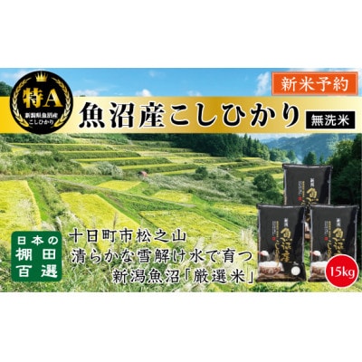 《令和7年産》【 無洗米】《食味鑑定士厳選》日本棚田百選のお米・魚沼産こしひかり 15kg