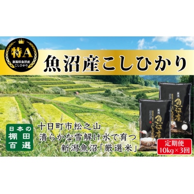 【発送月固定定期便】10月発送開始《食味鑑定士厳選》日本棚田百選・魚沼産こしひかり 10kg全3回