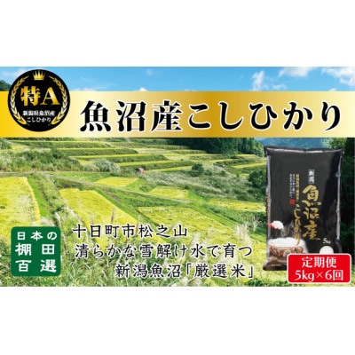 【発送月固定定期便】10月発送開始《食味鑑定士厳選》日本棚田百選・魚沼産こしひかり 5kg全6回