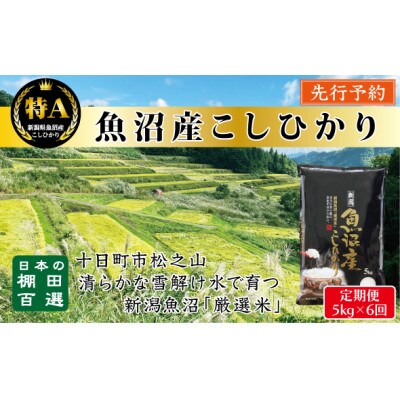 【発送月固定定期便】先行予約10月発送《食味鑑定士厳選》日本棚田百選・魚沼産こしひかり 5kg全6回