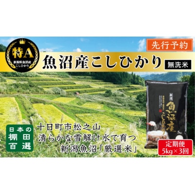 【発送月固定定期便】10月～発送　無洗米　食味鑑定士厳選　日本棚田百選魚沼産こしひかり5kg全3回
