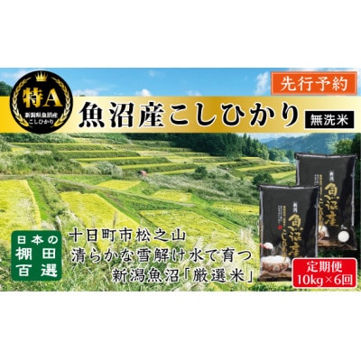 【発送月固定定期便】10月～発送　無洗米　食味鑑定士厳選　日本棚田百選魚沼産こしひかり10kg全6回