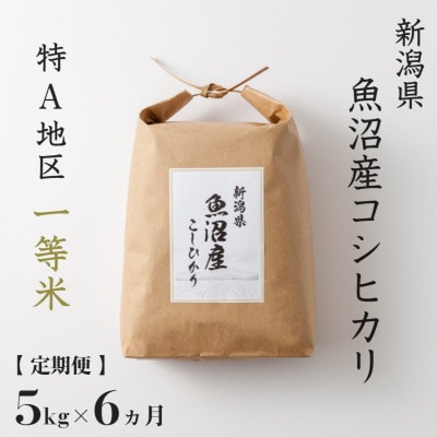 【毎月定期便】魚沼産コシヒカリ (精米) 5kg 特A 一等米全6回