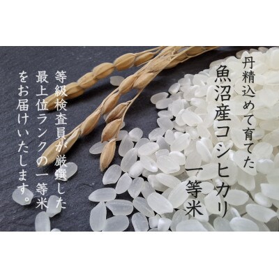 【毎月定期便】魚沼産コシヒカリ (精米) 5kg 特A 一等米全6回