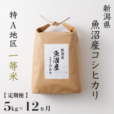 【毎月定期便】魚沼産コシヒカリ (精米) 5kg 特A 一等米 全12回