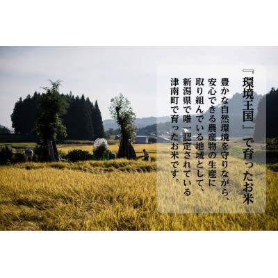 【毎月定期便】魚沼産コシヒカリ (精米) 5kg 特A 一等米 全12回