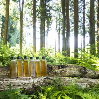 樹木香る日本酒【BOKKA】6本BOX