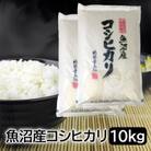 お米マイスター厳選!令和6年産魚沼産コシヒカリ 精米10kg(5kg×2)