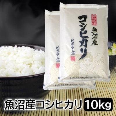 お米マイスター厳選!令和6年産魚沼産コシヒカリ 精米10kg(5kg×2)
