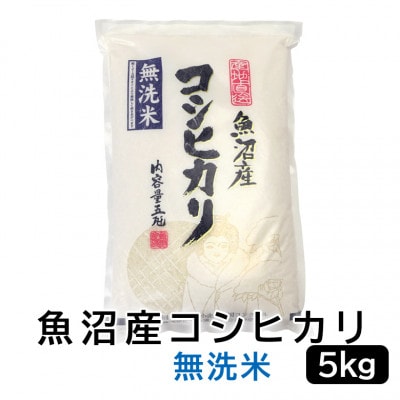 《無洗米》お米マイスター厳選!令和7年産魚沼産コシヒカリ 5kg