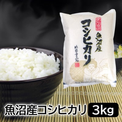 お米マイスター厳選!令和7年産魚沼産コシヒカリ 精米 3kg
