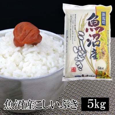 お米マイスター厳選!令和7年産 魚沼産 こしいぶき 精米 5kg