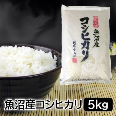 【2ヵ月毎定期便】お米マイスター厳選!魚沼産コシヒカリ 5kg全6回