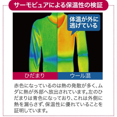 ひだまりチョモランマ 婦人長袖丸首インナー Mサイズ QMS821